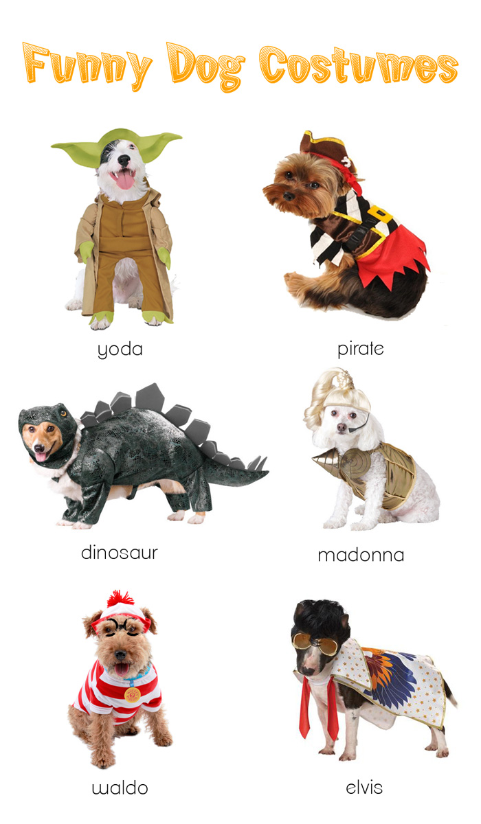 Funny Dog Costumes Halloween 2012